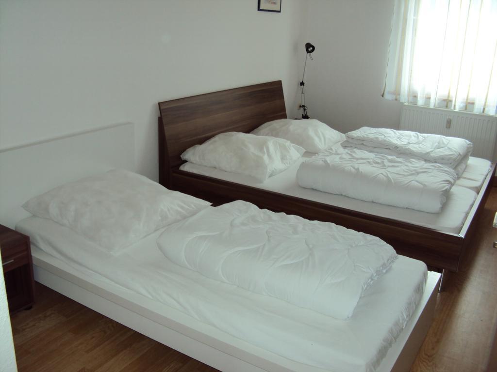 Apartments Ski Sonne Rehe Rehefeld-Zaunhaus Екстериор снимка